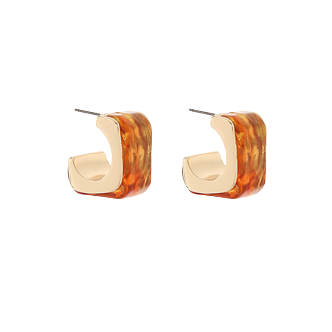 Square Tortoise Hoop Earrings