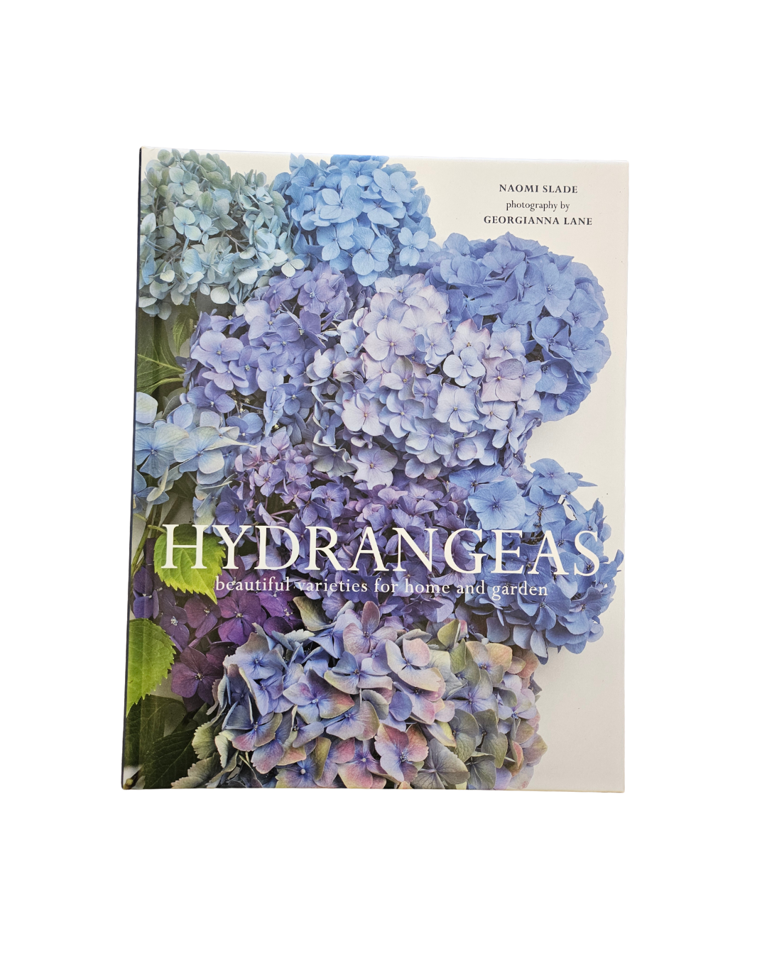 Hydrangeas