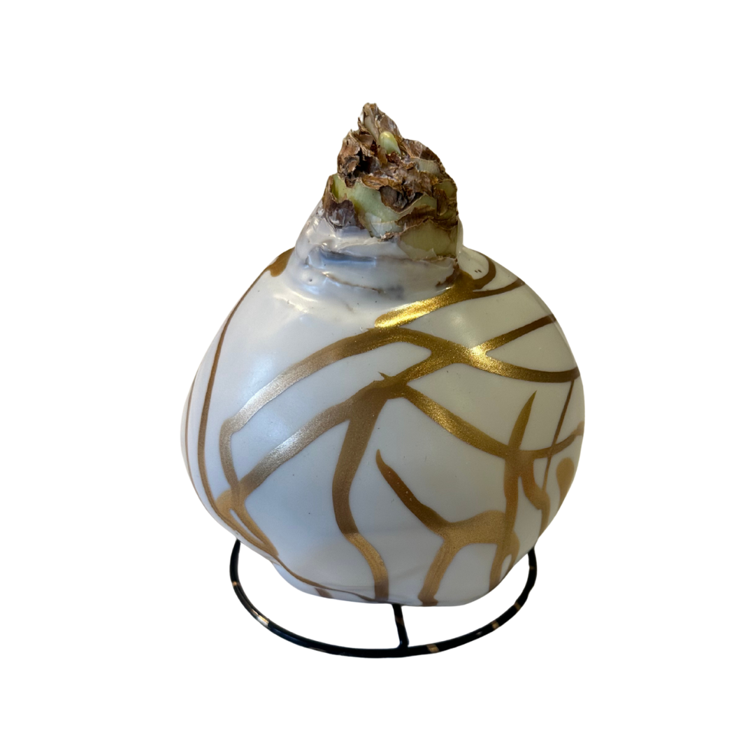 White + Gold Lacquer Splatter Amaryllis Bulb