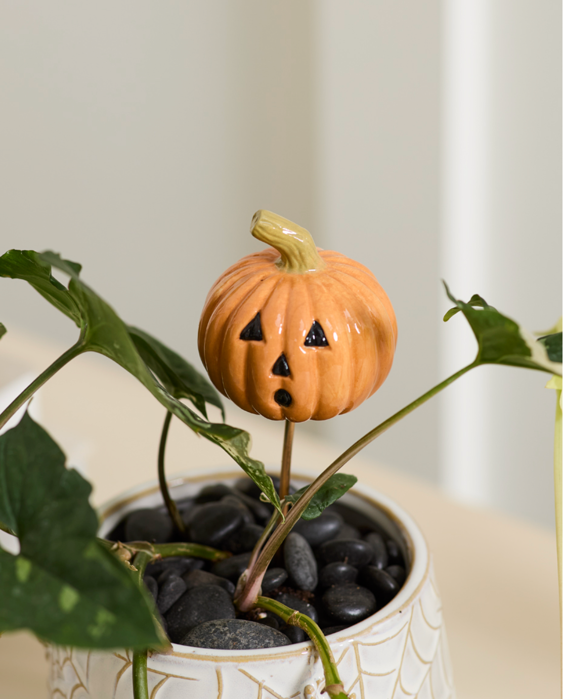 Spooky Pumpkin Plant Stick