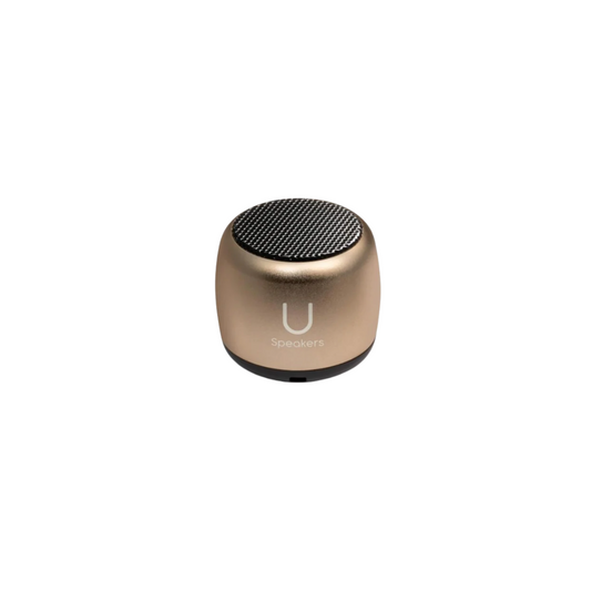 Micro Mini Speaker