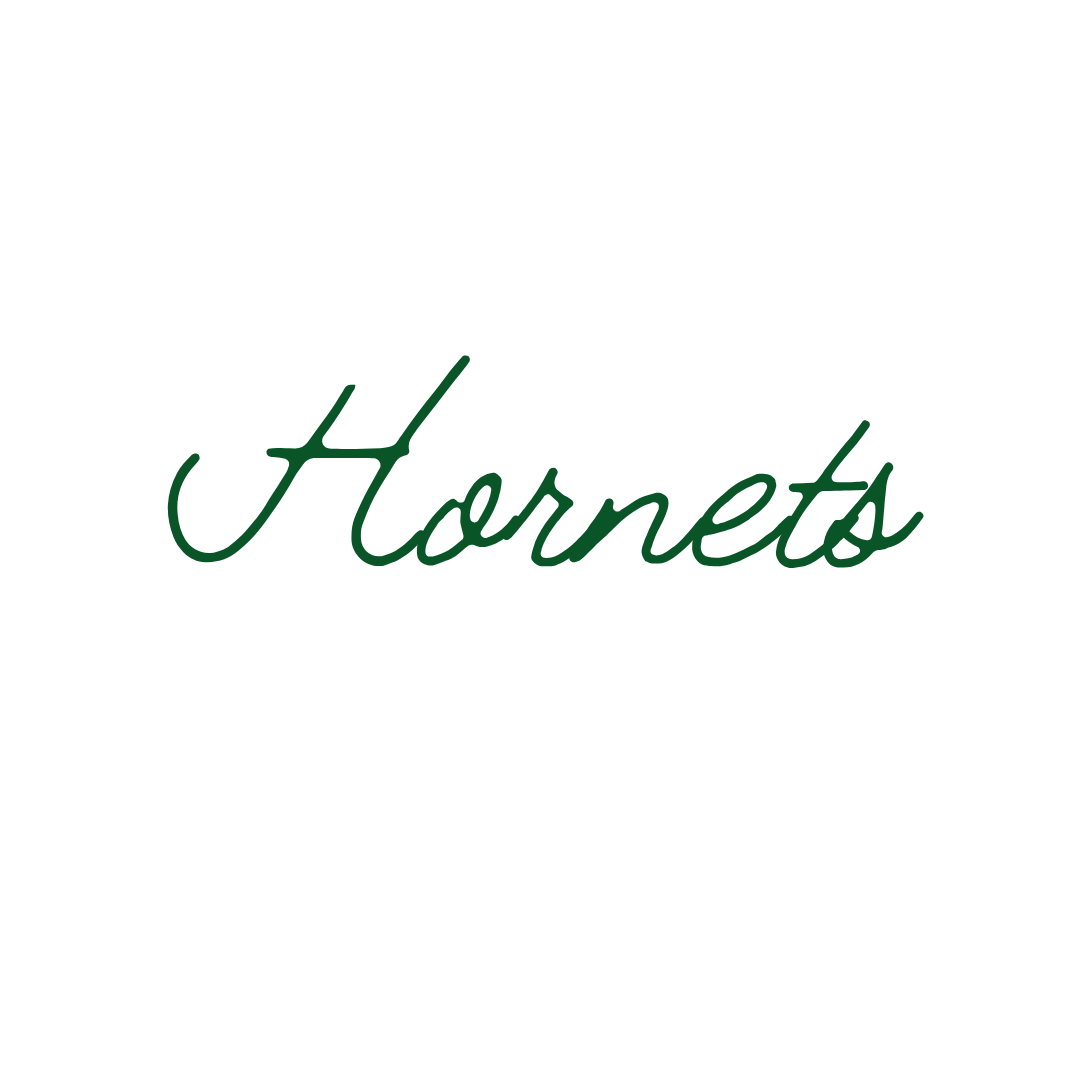 Custom Hats {Hornets}