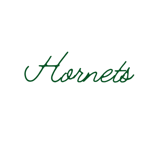 Custom Hats {Hornets}
