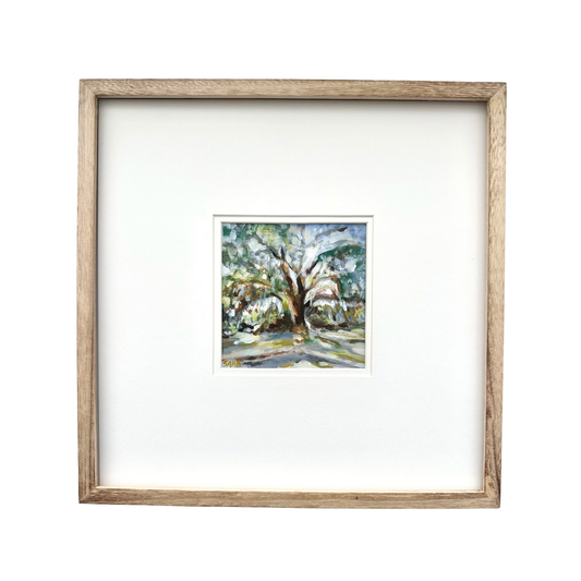 Illuminated, Pebble Hill Plantation