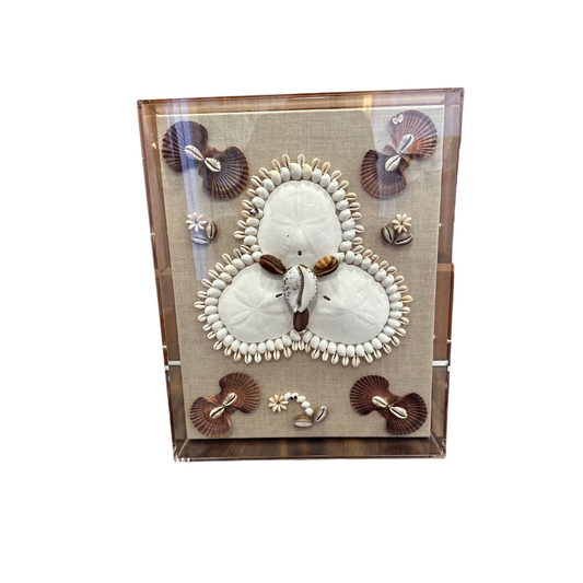 "Song of the Sandollar"