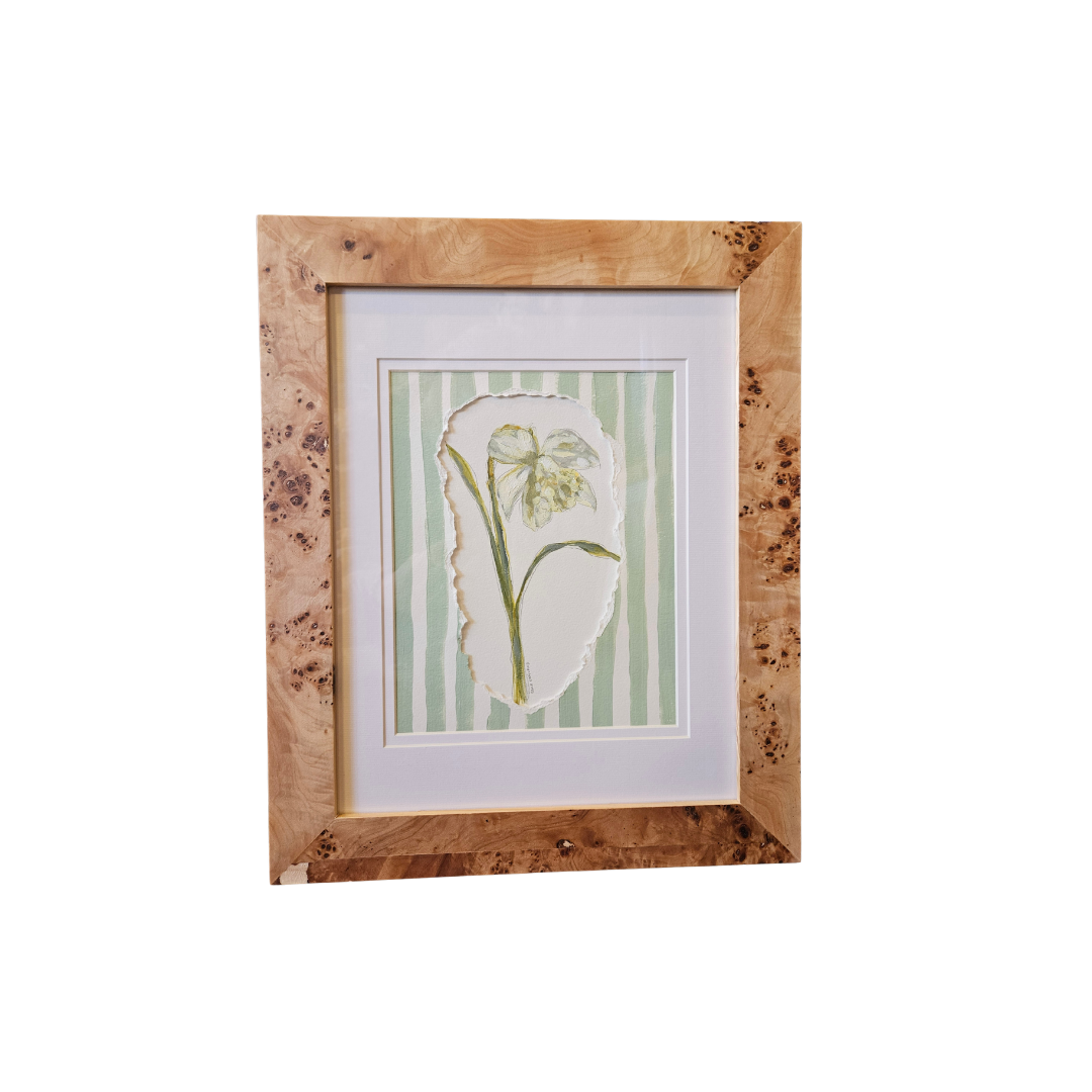 Daffodils 1