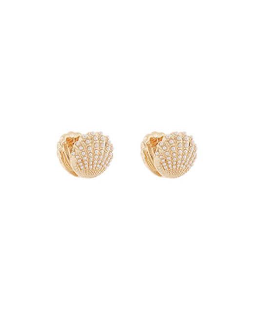 Shell Stud Earrings