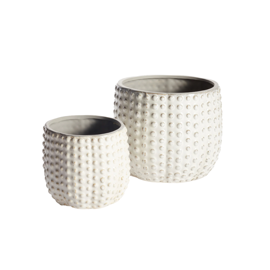 Urchin Pot