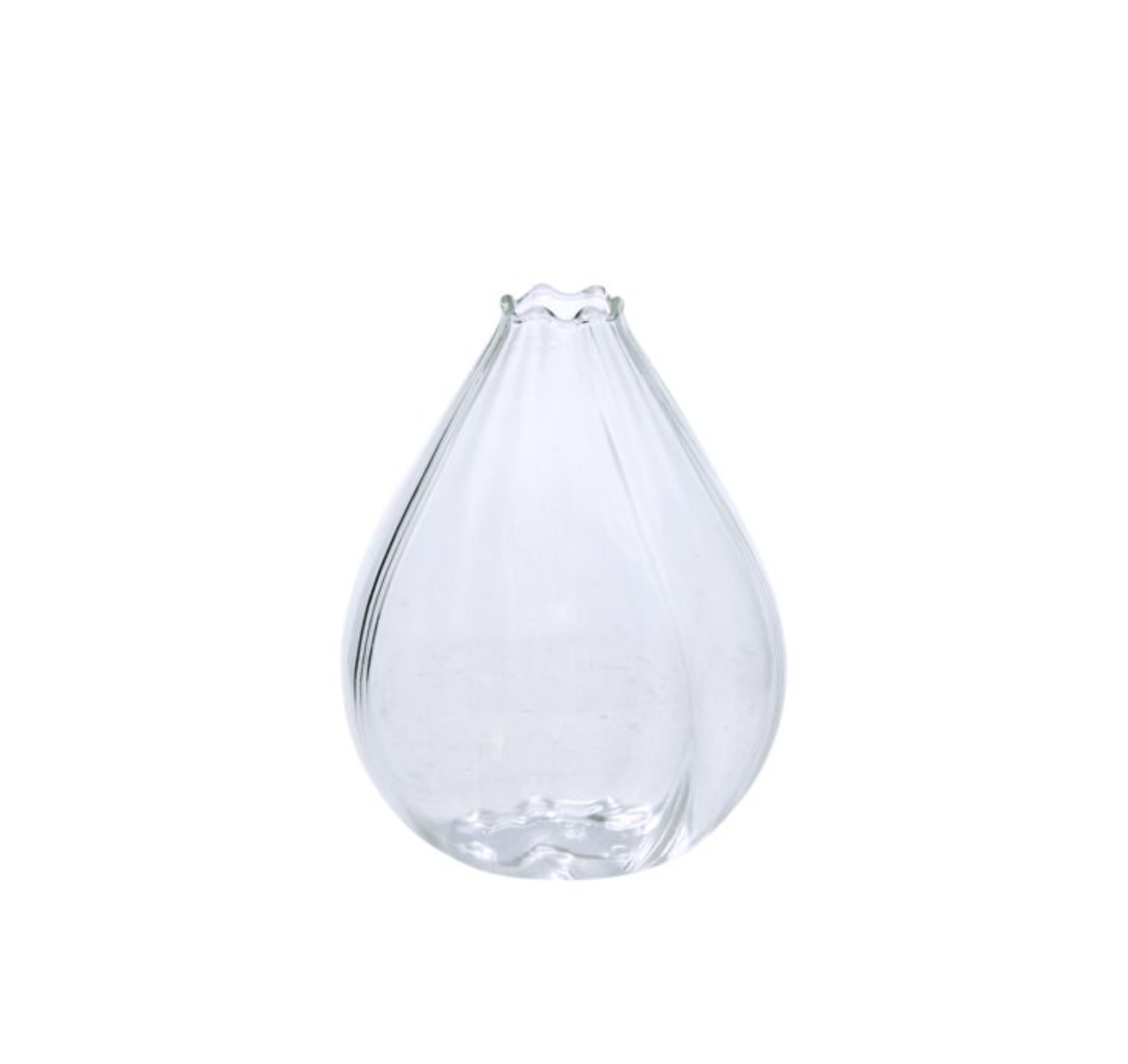 Viola Budvase