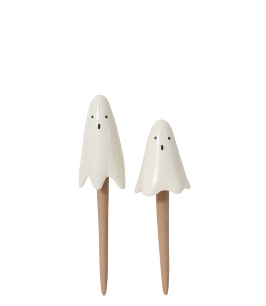 Casper Plant Stick