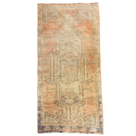 Vintage Rug {Peachy Olive}